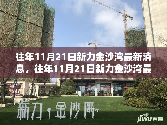 往年11月21日新力金沙灣最新消息綜述，最新動態(tài)一覽無余