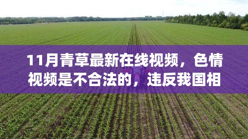 警惕色情風險，遠離非法內容，拒絕11月青草最新在線視頻