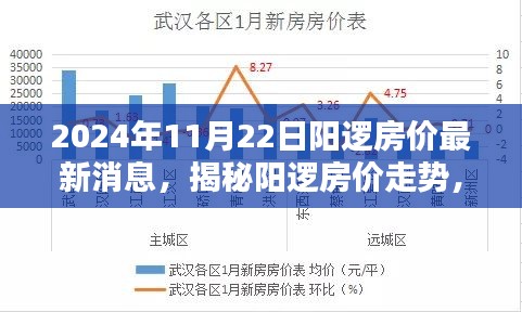 陽(yáng)邏房?jī)r(jià)最新動(dòng)態(tài)，深度分析走勢(shì)與揭秘最新消息（2024年11月22日）