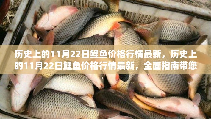 歷史上的11月22日鯉魚價格行情回顧與最新走勢全面指南，了解鯉魚市場的動態變化