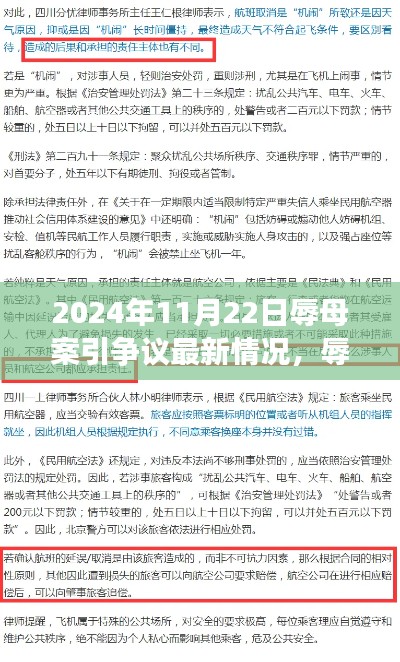 辱母案爭議再起，深度剖析與觀點闡述（最新情況報道）