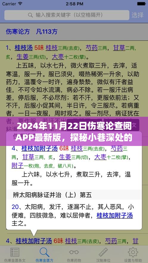 探秘小巷深處的傷寒秘境，體驗最新版?zhèn)摬殚咥PP的奇妙之旅