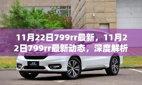 深度解析，最新動態(tài)下的799rr觀點(diǎn)探討