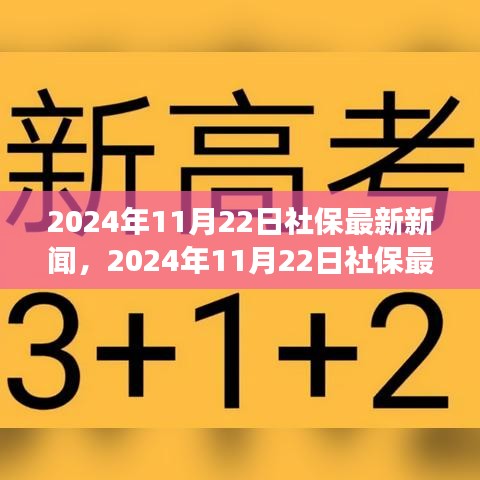 2024年11月22日社保動態更新，改革進展與未來展望