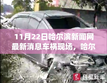 哈爾濱車禍現(xiàn)場最新消息及深度解析（附要點討論）
