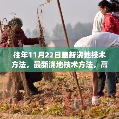 最新高效灌溉技術助力農業可持續發展，11月22日最新澆地技術方法解析