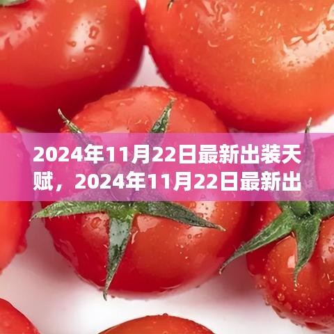 2024年11月22日游戲最新出裝天賦指南，引領潮流的游戲攻略
