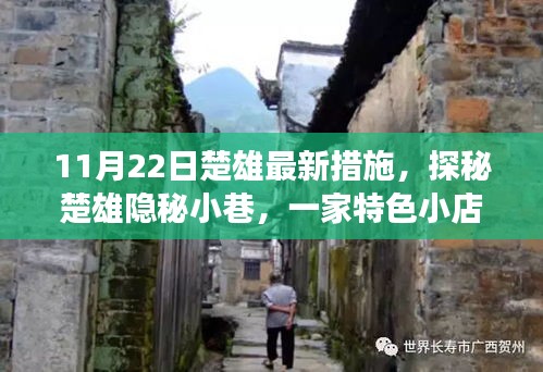 探秘楚雄隱秘小巷，特色小店背后的故事，新篇章開(kāi)啟于11月22日楚雄最新措施