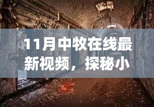 揭秘小巷深處的獨特風(fēng)味，十一月中牧在線最新視頻帶你探尋隱藏美食店