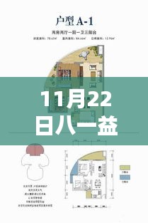 八一益園最新動(dòng)態(tài)揭秘，11月22日獨(dú)家消息，小紅書(shū)帶你探索最新消息