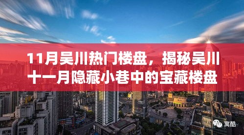 吳川十一月探秘之旅，寶藏樓盤與獨(dú)特小店的不期而遇