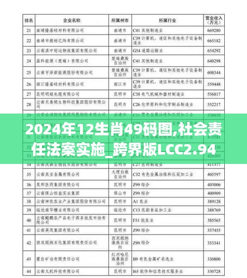 2024年12生肖49碼圖,社會責任法案實施_跨界版LCC2.94