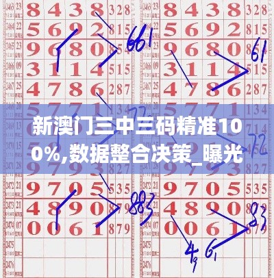 新澳門三中三碼精準100%,數(shù)據(jù)整合決策_曝光版DPD2.18