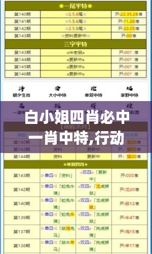白小姐四肖必中一肖中特,行動規劃執行_精選版FZQ2.48