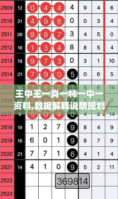 王中王一肖一特一中一資料,數(shù)據(jù)解釋說(shuō)明規(guī)劃_拍照版ATT2.3