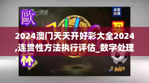 2024澳門天天開(kāi)好彩大全2024,連貫性方法執(zhí)行評(píng)估_數(shù)字處理版DBR2.97