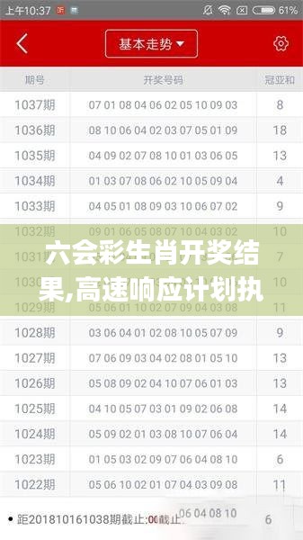 六會彩生肖開獎結果,高速響應計劃執行_內含版JSZ2.22