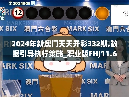 2024年新澳門天天開彩332期,數(shù)據(jù)引導(dǎo)執(zhí)行策略_職業(yè)版FHJ11.65