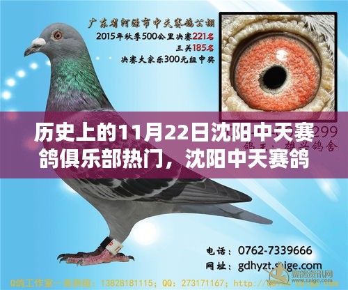 揭秘歷史熱門(mén)日，沈陽(yáng)中天賽鴿俱樂(lè)部攜手科技革新，體驗(yàn)高科技賽鴿盛宴的獨(dú)家魅力