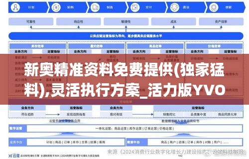 新奧精準(zhǔn)資料免費(fèi)提供(獨(dú)家猛料),靈活執(zhí)行方案_活力版YVO2.79