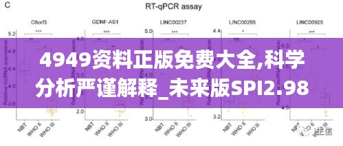 4949資料正版免費大全,科學分析嚴謹解釋_未來版SPI2.98