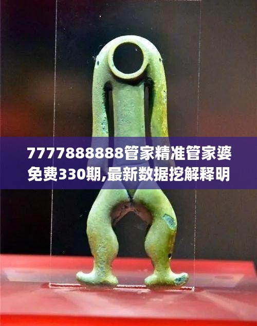 7777888888管家精準(zhǔn)管家婆免費(fèi)330期,最新數(shù)據(jù)挖解釋明_旅行者特別版XAT11.12