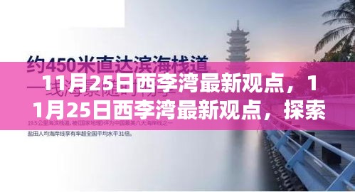 11月25日西李灣最新觀點揭秘，共筑美好家園的未來探索