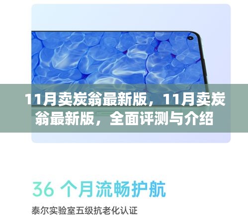 最新11月賣炭翁全面評(píng)測(cè)與介紹