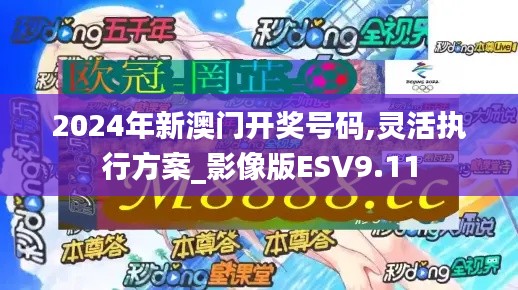 2024年新澳門開獎號碼,靈活執(zhí)行方案_影像版ESV9.11