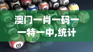 澳門一肖一碼一一特一中,統計材料解釋設想_游戲版SPC9.57
