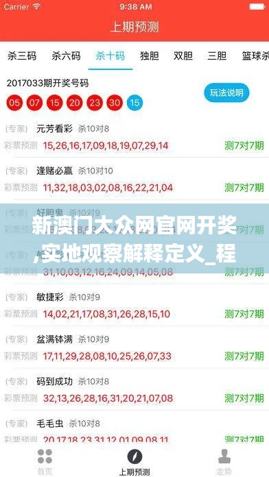 新澳門大眾網官網開獎,實地觀察解釋定義_程序版PQZ9.82