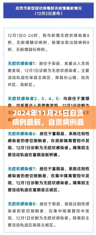 2024年11月25日自貢病例最新情況詳解，全方位了解與應對步驟