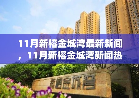11月新榕金城灣最新新聞，11月新榕金城灣新聞熱點解析
