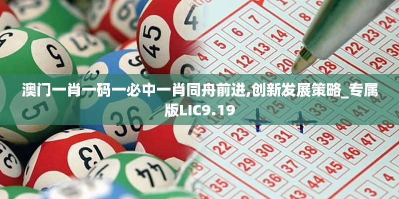 澳門一肖一碼一必中一肖同舟前進,創新發展策略_專屬版LIC9.19