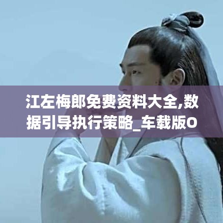 江左梅郎免費資料大全,數據引導執行策略_車載版OHX9.85