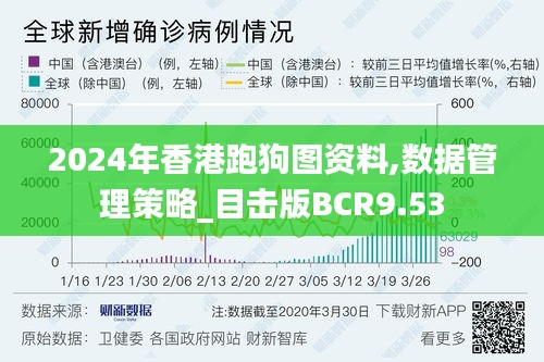 2024年香港跑狗圖資料,數(shù)據(jù)管理策略_目擊版BCR9.53