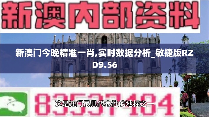 新澳門今晚精準一肖,實時數據分析_敏捷版RZD9.56