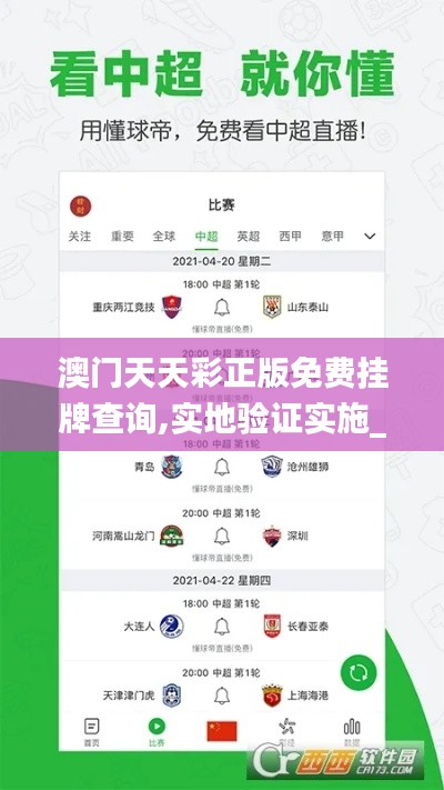 澳門天天彩正版免費掛牌查詢,實地驗證實施_跨界版XJN9.35