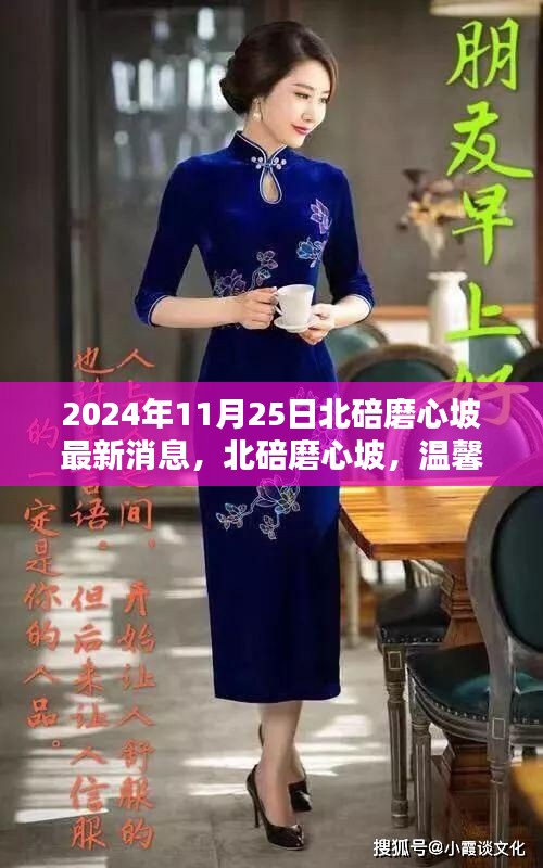 北碚磨心坡溫馨日常更新，最新消息與不期而遇的美好