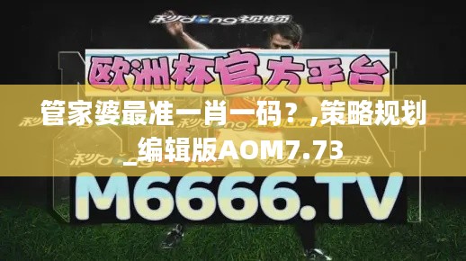 管家婆最準一肖一碼？,策略規劃_編輯版AOM7.73