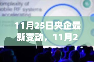11月25日央企最新變動詳解，全面評測與介紹