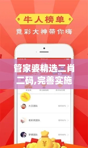 管家婆精選二肖二碼,完善實施計劃_樂享版RTS7.55
