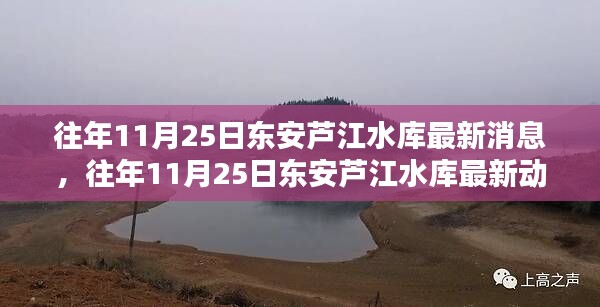 往年11月25日東安蘆江水庫最新動態概覽