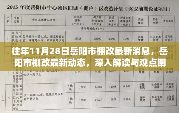 岳陽市棚改最新動態解讀與觀點闡述，歷年11月28日更新消息