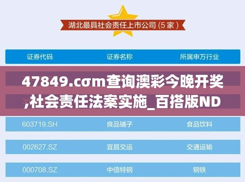 47849.cσm查詢澳彩今晚開獎,社會責任法案實施_百搭版NDG8.73