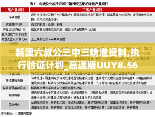 新澳六叔公三中三精準資料,執行驗證計劃_高速版UUY8.56