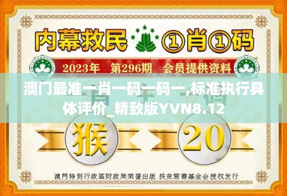 澳門最準一肖一碼一碼一,標準執行具體評價_精致版YVN8.12