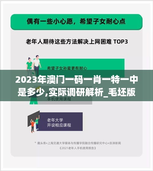 2023年澳門一碼一肖一特一中是多少,實(shí)際調(diào)研解析_毛坯版DKL4.52