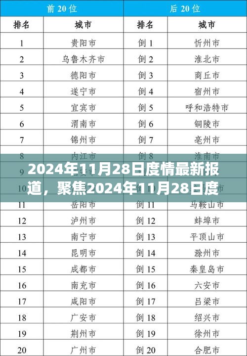 獨家解析，2024年11月28日度情最新報道的綜合觀點與個人立場