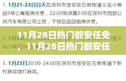 11月28日熱門都安任免步驟指南，適合初學者與進階用戶